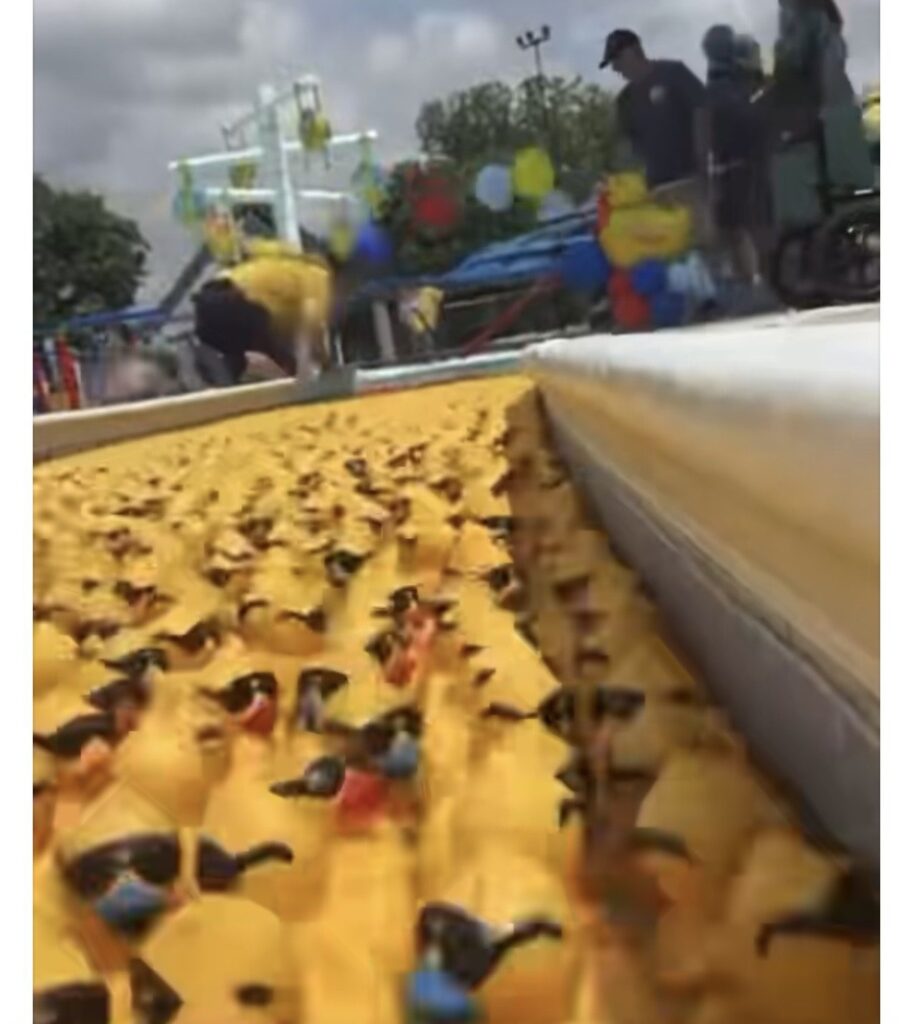 Arlington Sunrise Rotary rubber duck race, April 2026