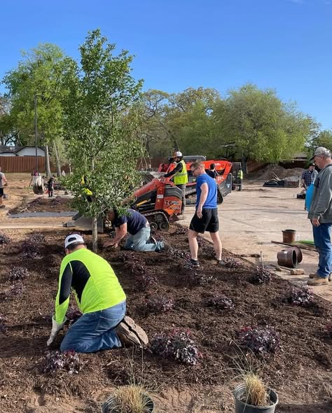 Arlington Sunrise Rotary volunteers plant trees during a community workday